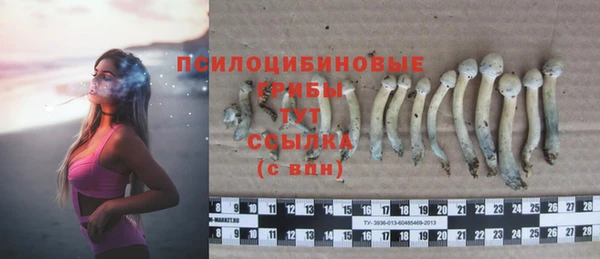 прущая мука Михайловка