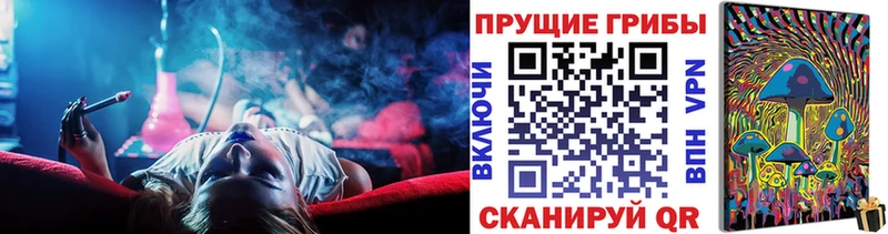 продажа наркотиков Калач блэк спрут зеркало Галлюциногенные грибы Psilocybe